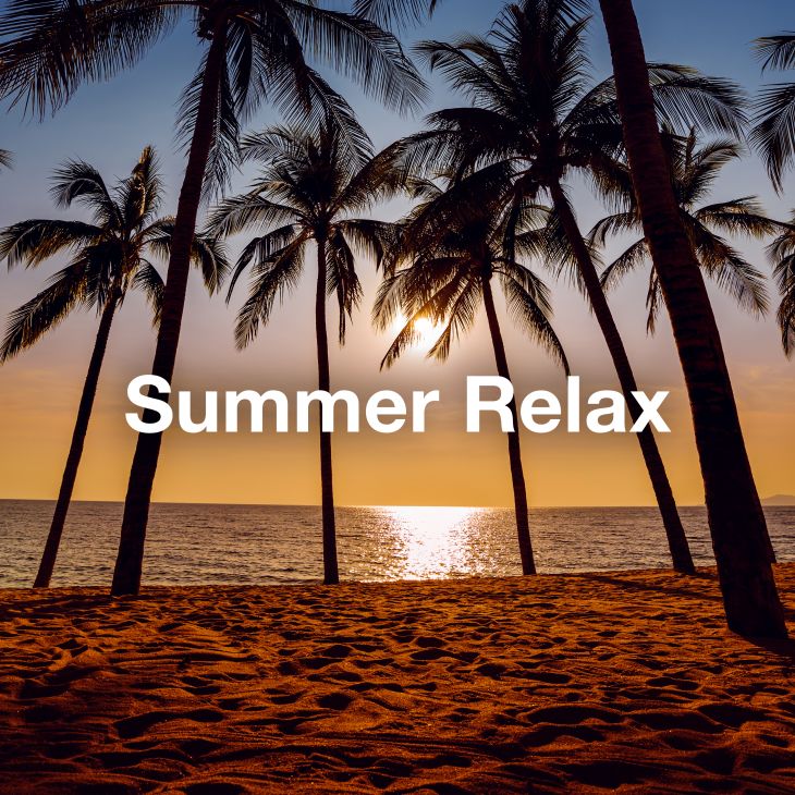 Summer Relax 2025 🌴 Sunny Day