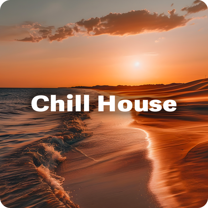 Chill House 2026 🌴☀️